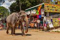 069 Pinnawala olifantenweeshuis